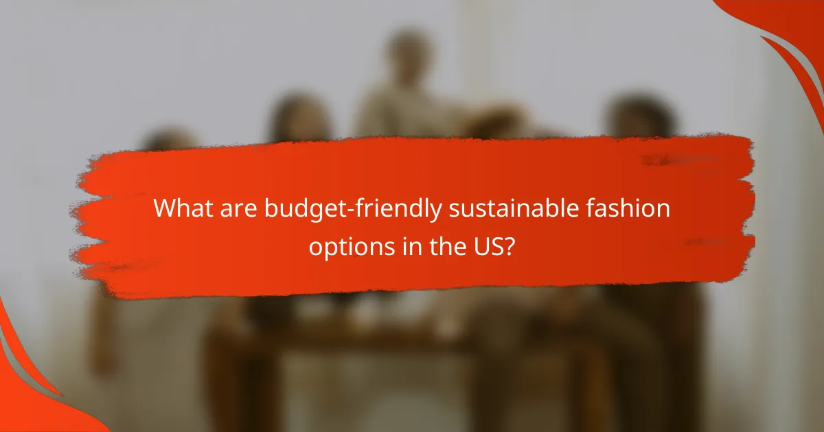 What are budget-friendly sustainable fashion options in the US?