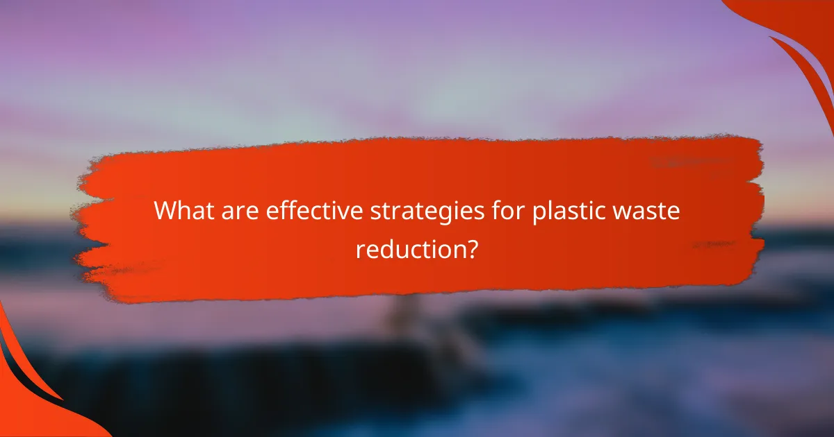 What are effective strategies for plastic waste reduction?