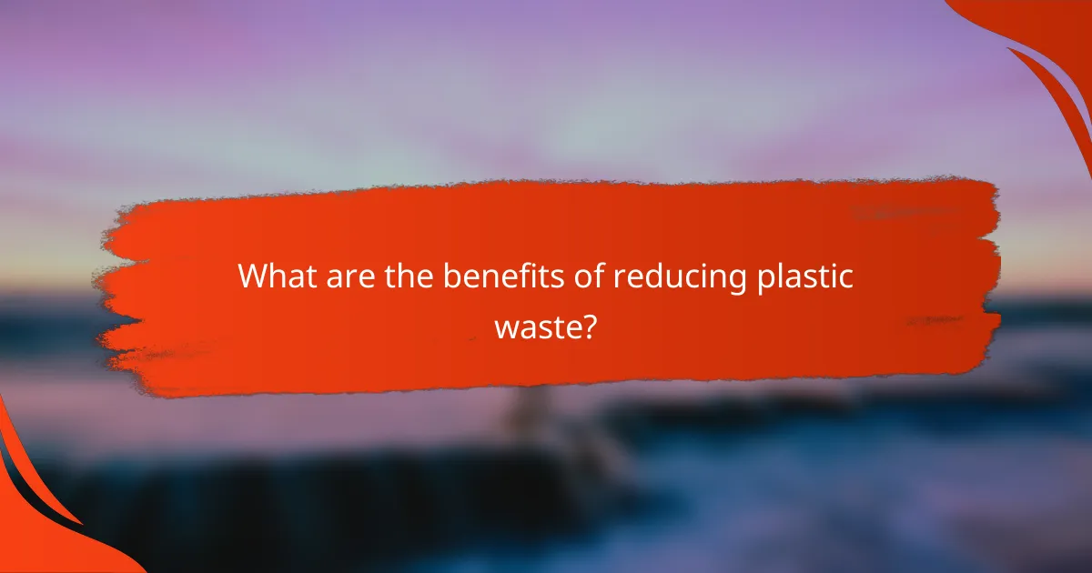 What are the benefits of reducing plastic waste?