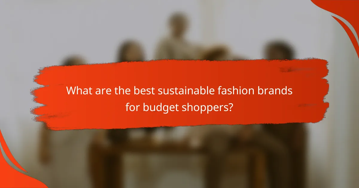 What are the best sustainable fashion brands for budget shoppers?