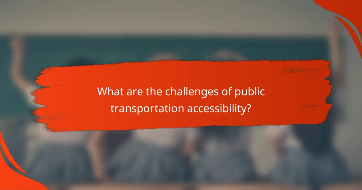 What are the challenges of public transportation accessibility?