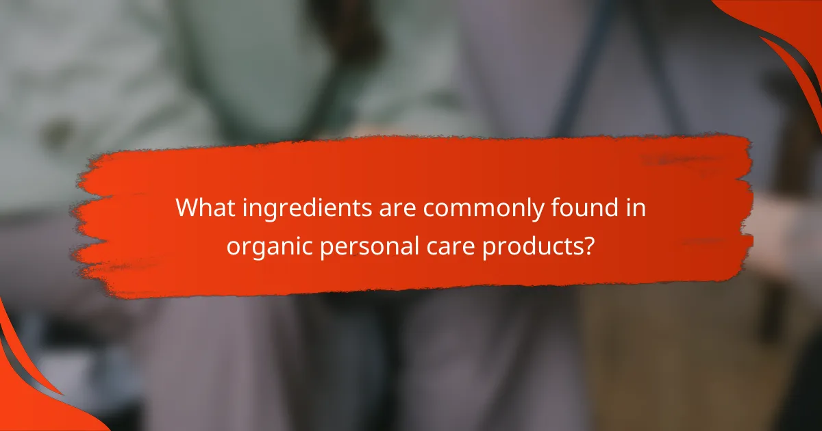 What ingredients are commonly found in organic personal care products?