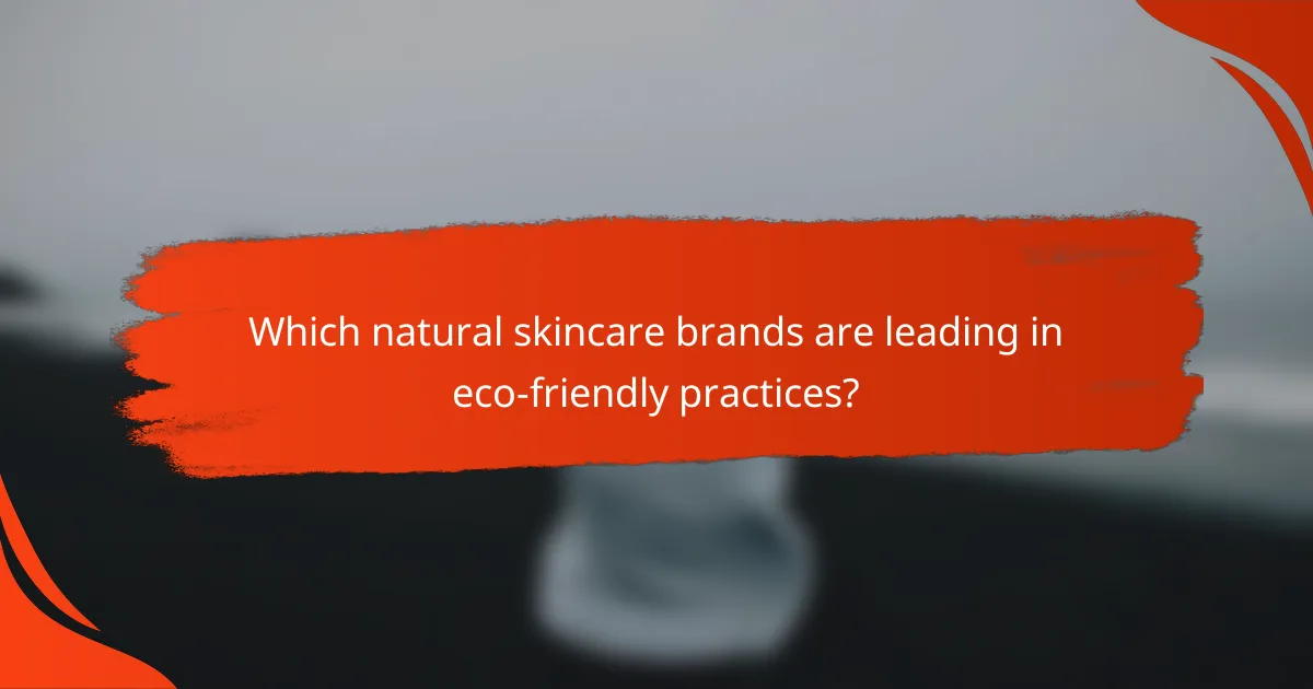 Which natural skincare brands are leading in eco-friendly practices?
